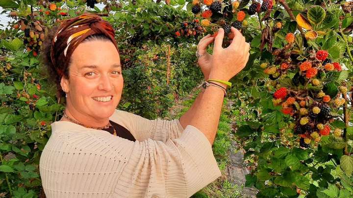 De trabajar en el aeropuerto a montar una plantación ecológica de moras para poder conciliar con sus tres hijos: la historia de Alba Ortiz en Colloto