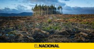 3.600 millones de personas en riesgo: la COP30 busca un plan desesperado para adaptarse al cambio climático
