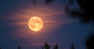¿Cuándo ver la Superluna de noviembre? Se anuncia como la más brillante del año