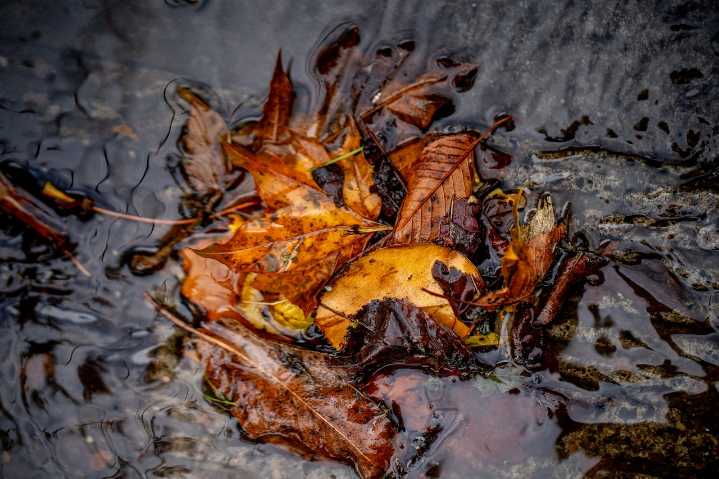 Portland set for rainy, windy Wednesday with thunderstorm potential