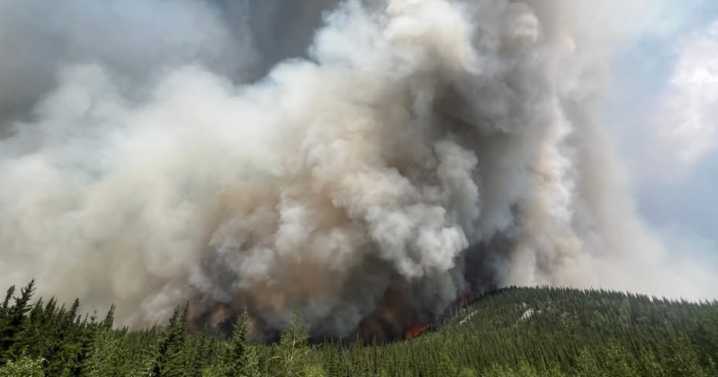 Anchorage residents asked to provide input on wildfire safety plan