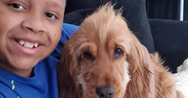 Boy who said he had sore throat died in front of family hours later