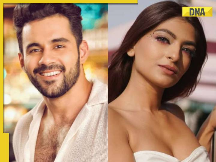 Bigg Boss 19: Abhishek Bajaj on ex-wife Akanksha Jindal's infidelity accusations