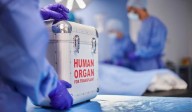 NJ Group Tried Harvesting Organs From Patient Who Showed Signs Of Life: Whistleblowers