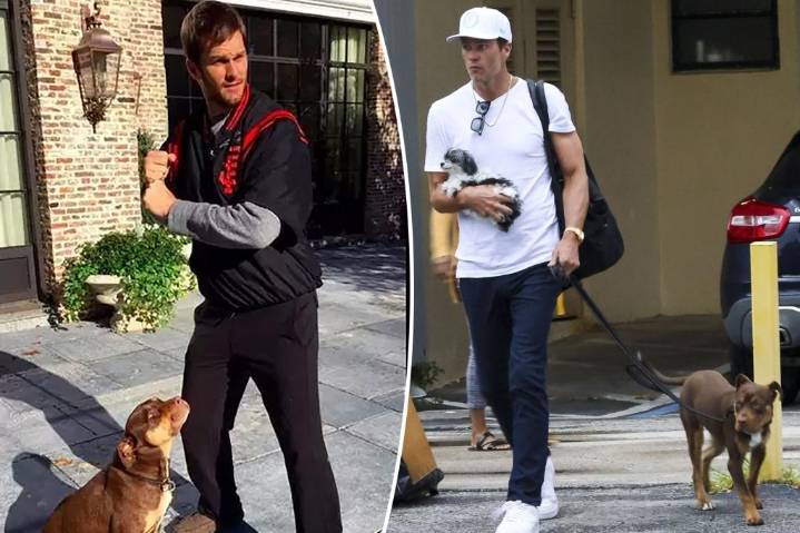 Tom Brady admits dog Junie is a clone of 'beloved' late pet Lua