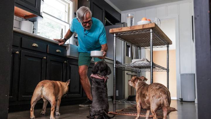 Pets contribute to greenhouse gases. Here's how to reduce their carbon pawprint