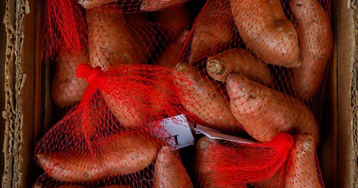 Some sweet potato vs. yam history from Dan Gill