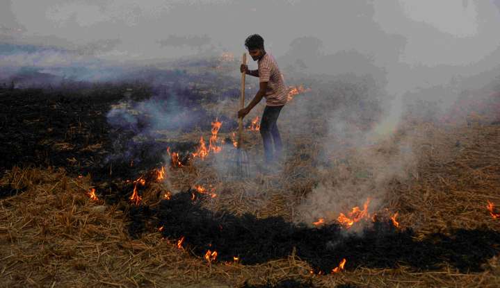 Air pollution: SC asks Punjab, Haryana to apprise about steps taken against stubble burning