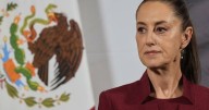 Man arrested after groping Mexico President Sheinbaum