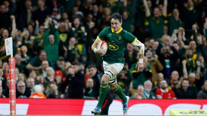 Springbok lock Mostert free to face Ireland after red card rescinded