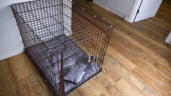 Woman's Smart Solution Takes Dog Crate From An Eyesore To Enviable: 'It's Perfect!'