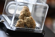 New THC Restrictions Signal the End for Hemp Businesses Around the Country