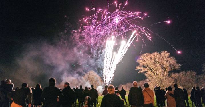 'Killjoy' councils spark fury over Bonfire night firework ban in favour of silent rockets
