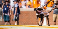 Smokey X, beloved retired Vols mascot, ‘doing well’ amid health challenges