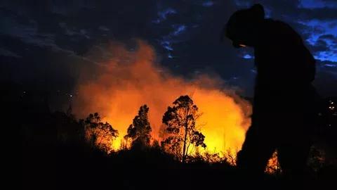 Suben las alertas por incendios forestales en 11 departamentos de Colombia