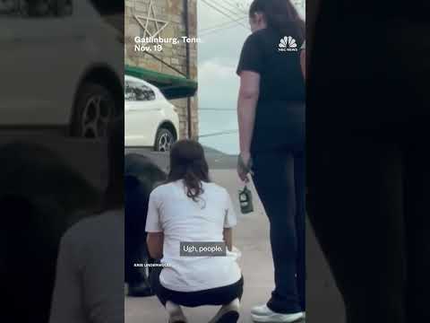 Officials warn people in Tenn. not to feed bears