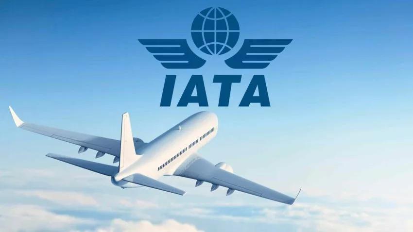 IATA le pide a Venezuela que reconsidere la revocación de la concesión a seis aerolíneas