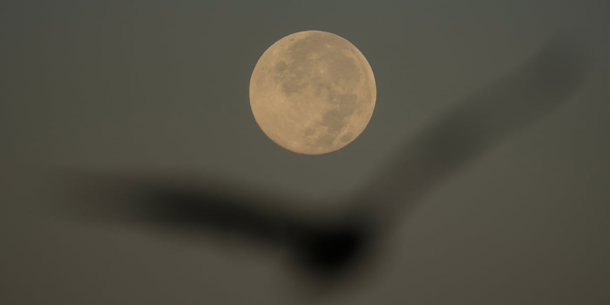 How to spot November’s supermoon, the closest of the year