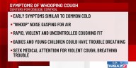 Whooping cough cases rising in West Virginia
