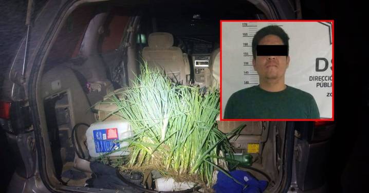 Robaba cebollas en un terreno rústico, huyen y es detenido