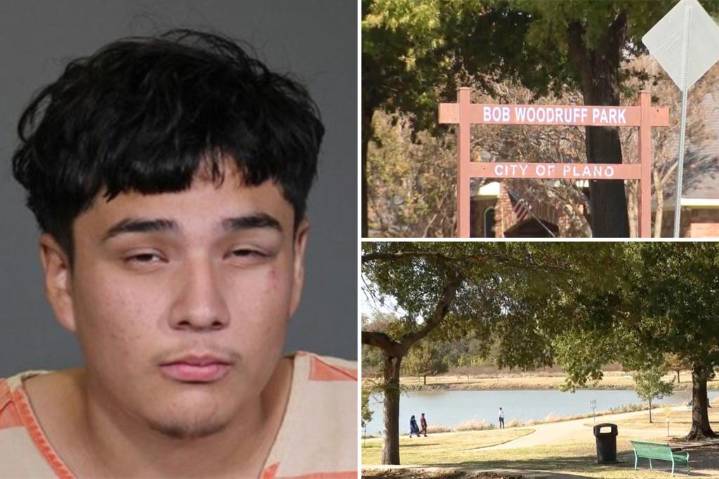 Hammer-wielding illegal migrant was freed by Biden admin — despite lengthy rap sheet: DHS