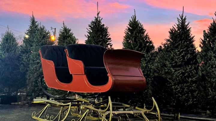 Christmas tree farms and stands to visit in the SouthCoast