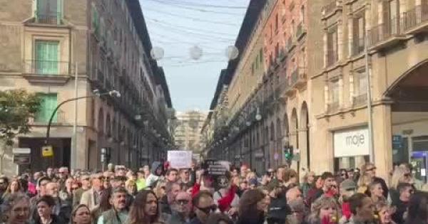 Cientos de autonómos se echan a la calle en Palma para protestar por su situación