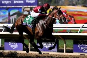 Forever Young gives Japan first Breeders’ Cup Classic triumph