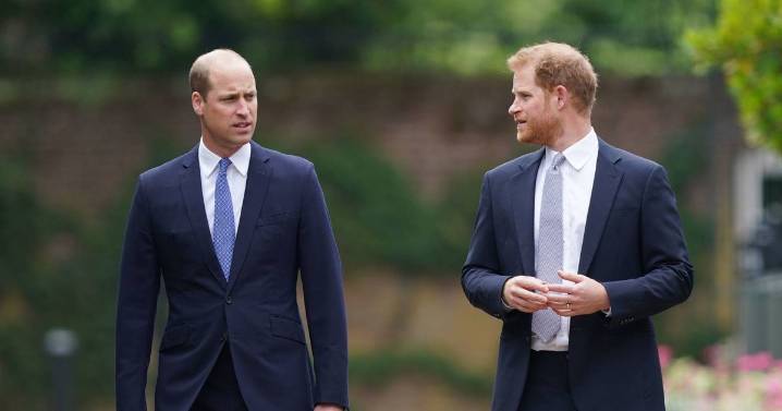 Prince Harry offers 'olive branch' to William hours before awkward diary clash