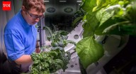 What was the first vegetable to ever grow in space
