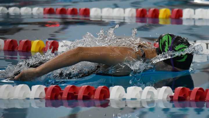 Here are the Gainesville-area Athlete of the Week nominees for November 4