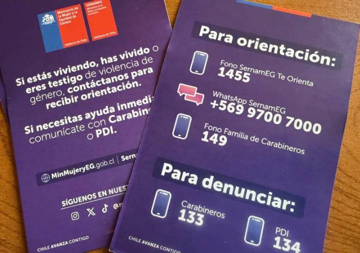 SernamEG se querella por caso de violencia de género extrema en Mañihuales