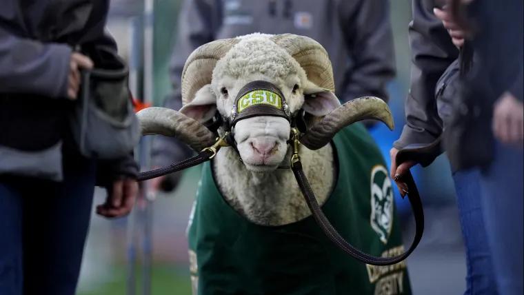 Colorado State suspends two players for spitting vs. Boise State