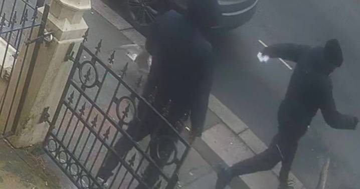 Thug filmed brutally killing seagull in the street