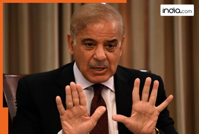 Alert for India as Pakistan plans to build an artificial island near..., Trump's plan is...