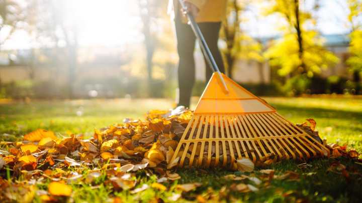 Tired Of Raking? This Nifty Tool Will Change The Way You Clean Up Fallen Leaves