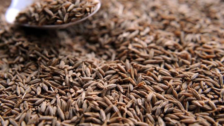 Centre releases draft Seeds Bill; industry welcomes; farm outfits cautious