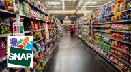 ¡Confirmado! Así será el pago de los cupones SNAP de noviembre tras el final del cierre del gobierno