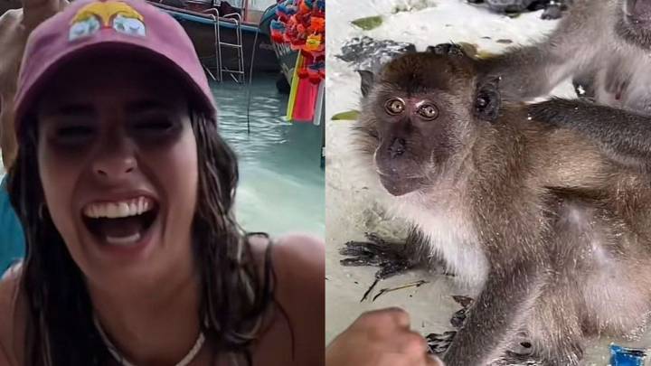 Julieta Poggio fue atacada por monos en Tailandia y se volvió viral: mirá el video