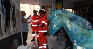 Destrozos en una galería de arte del Port d'Andratx a causa de la fuerte lluvia
