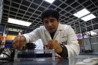 Estudiantes IPN elaboran electrodos con sargazo para descontaminar agua