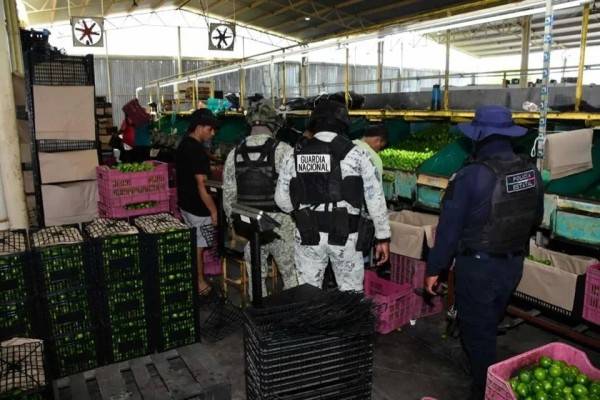 Inicia el 'Plan Michoacán' en zona limonera de Apatzingán