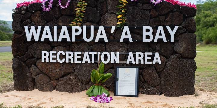 Sailor dies after rescuing children struggling in high surf