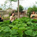 Producción solidaria en el CIC “Che Guevara”...