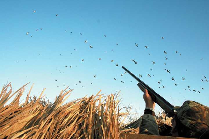 Duck hunters rescued after boat capsizes in Douglas County