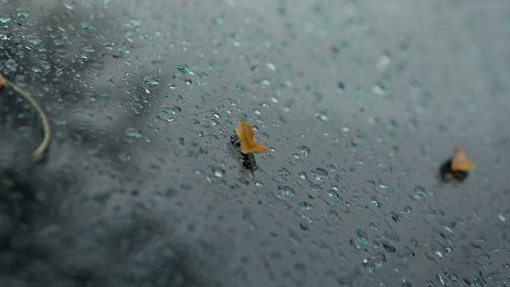 Clima en Neuquén: Sábado gris y pasado por agua