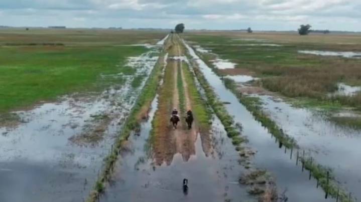 Inundaciones en campos bonaerenses: el Banco Nación lanzó una línea de créditos blandos y facilidades de pago