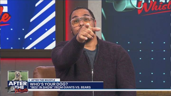 We pick our Dogs of the Game from the Bears' win