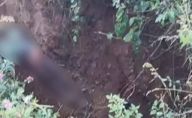 Mysuru farmer killed in tiger attack, third fatality this month