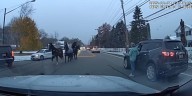 North Ridgeville Police wrangle 4 horses running down the road